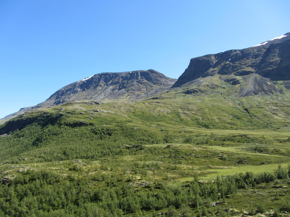 Galoppigen