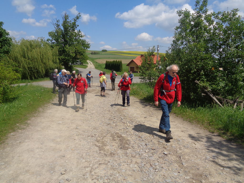 Pstrągowa 2019