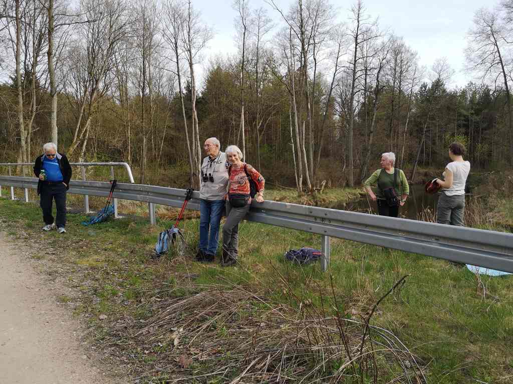 Sasek Mały 2023