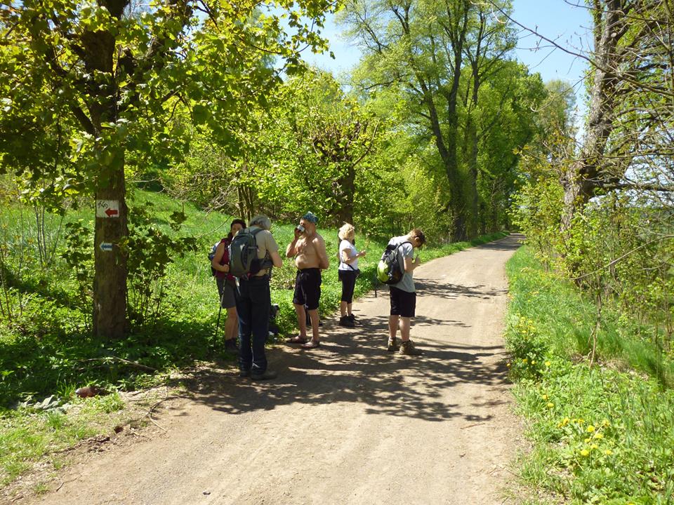 Mokrzeszów 2017