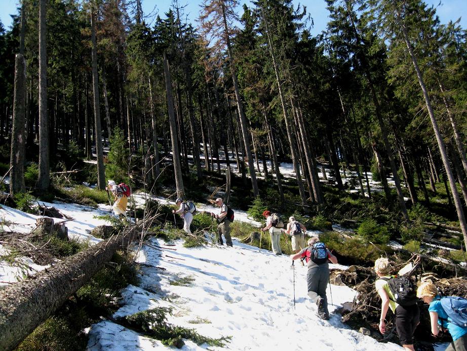 Beskid Zywiecki